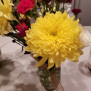 Meet your Posher, Eileen